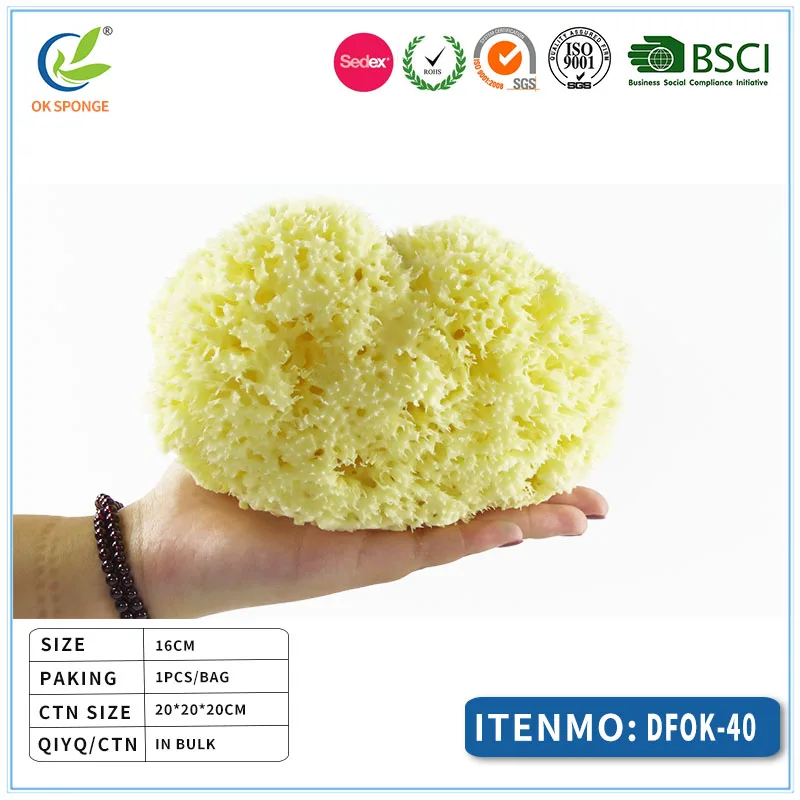 Top level quality honeycomb natural sea sponge bath massage sponge from Greece