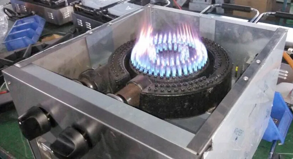 Good Quality Commercial Indoor Gas Stove 2 Burner