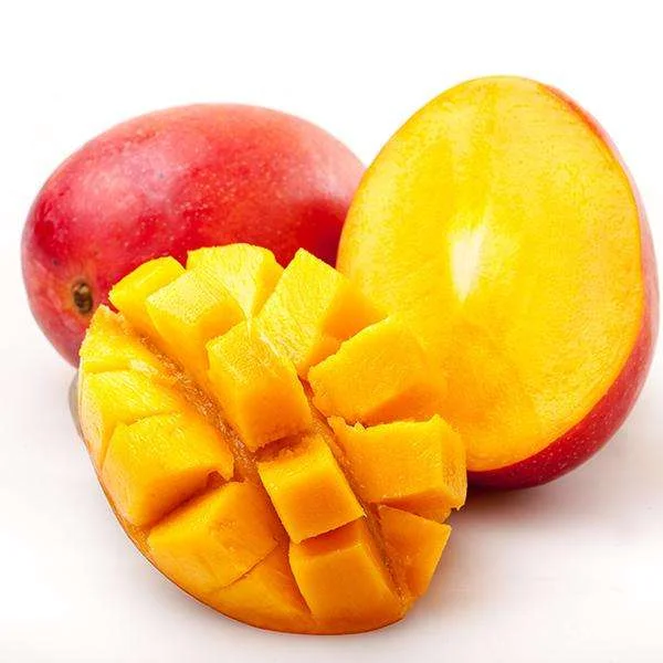 
Nature plant fruit tree Mango seedlings 