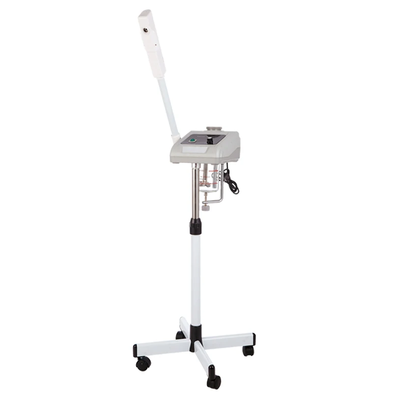 hair and facial steamer Cynthia RU 990
