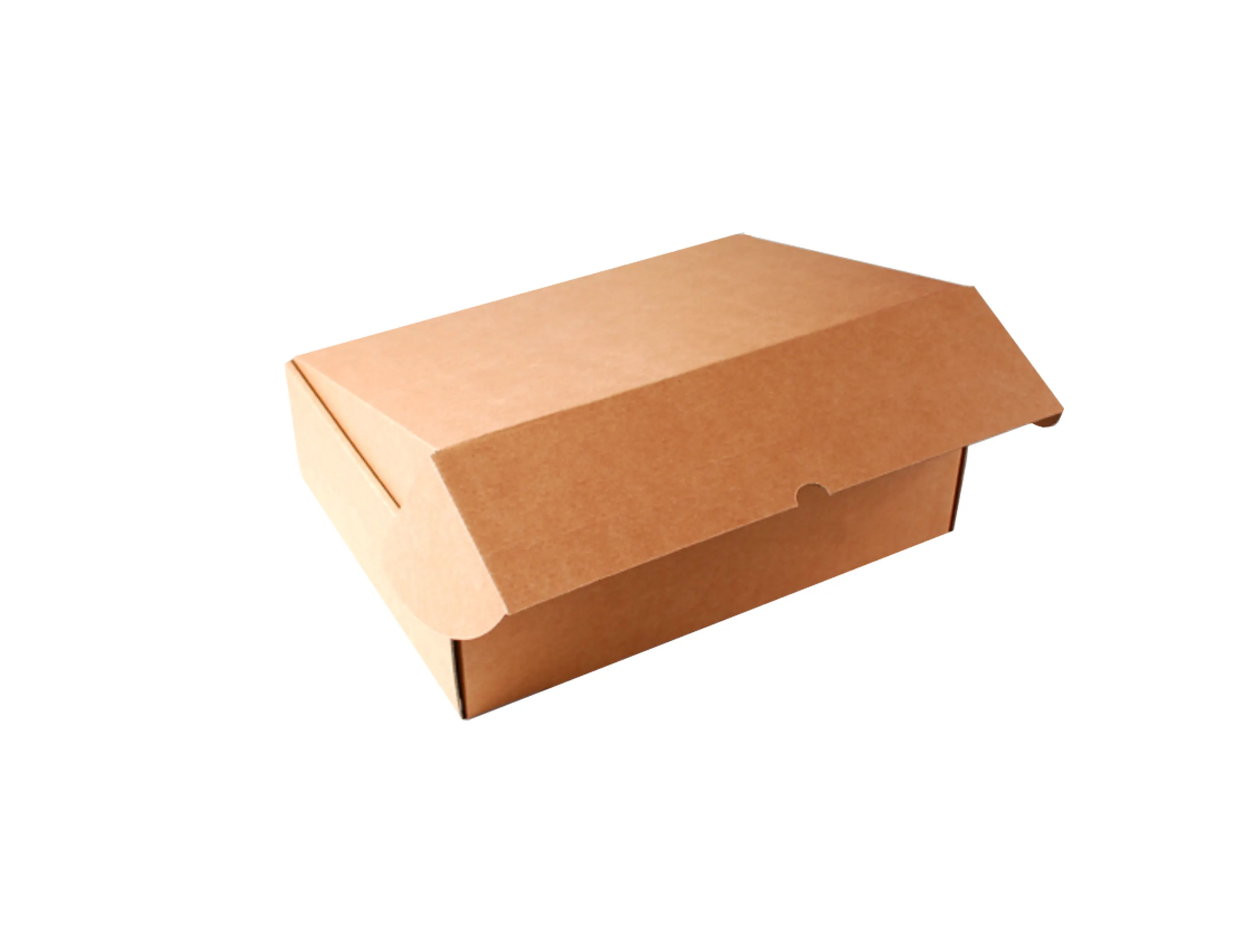 Carrying Case Mailer Box With Handle