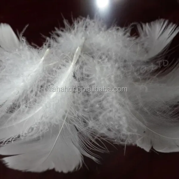 
washed white duck down loose feathers 