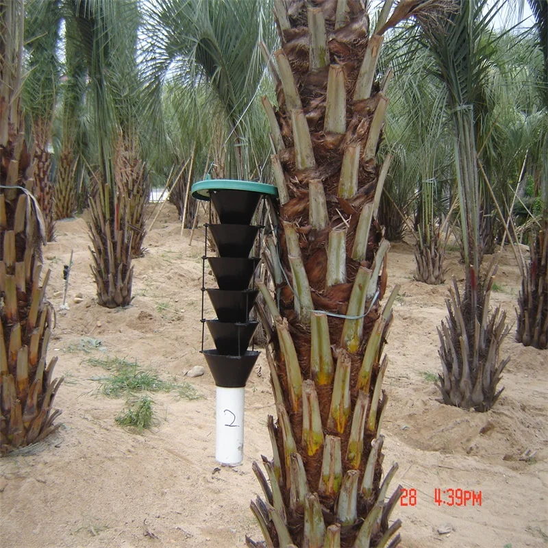 Multi funnel traps plastic insect pheromone trap for killing forest pests