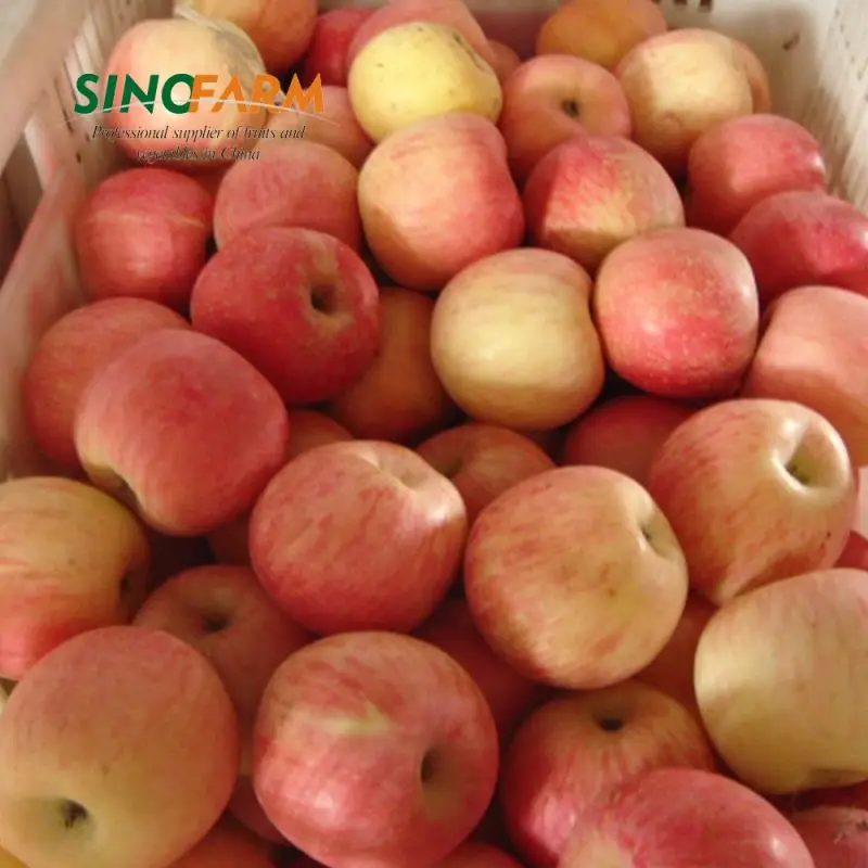 Big Size Grade A Chinese Red Fuji Apples