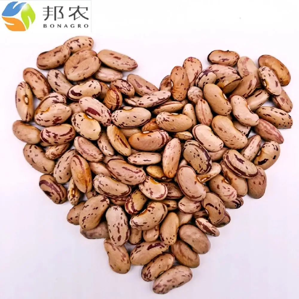 
Легкая зернистая фасоль, сахарная фасоль, зернистая фасоль 