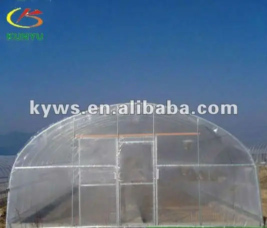 Single Tunnel Polycarbonate Greenhouse for Growing Vegetable