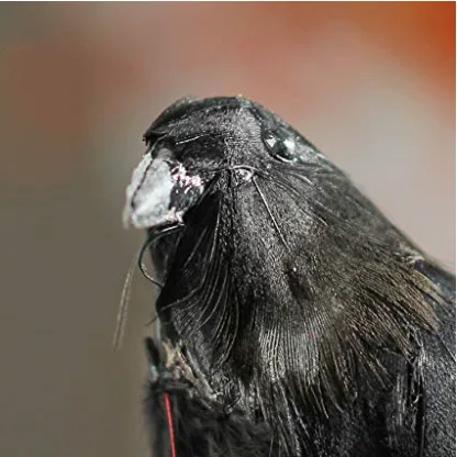 Long Tail Black Crow Realistic Simulation Feathered Animals Birds Garden Wedding Party Events Decor Craft