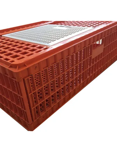 big orange poultry chicken transport egg crate plastic handles corrugated boxes