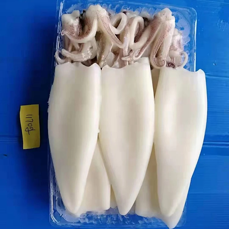 
good quality IQF squid T+T squid tube & tentacle squid t+t Frozen squid T+T 