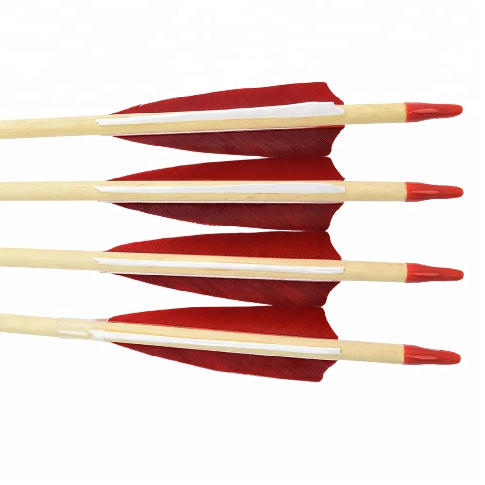 Archery Wood Arrows Recurve Traditional Bow Hunting Sports Glue-on Nock Turkey Feather Wooden Shafts Wood Arrows