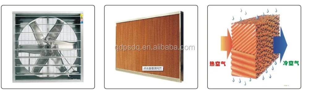 ISO standard galvanized sheet electric big wind wall mounted cowhouse exhaust axial fan 9FJ-125A