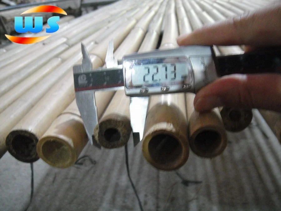 Support tree nurseries growing  of bamboo cane 305CM 28-30MM