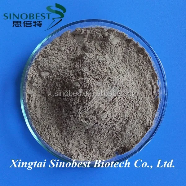 Factory Supply Bacterial Alpha Amylase Enzyme