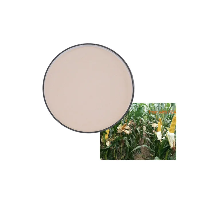 agricultural fertilizer No pollution to environment PGA polyglutamic acid