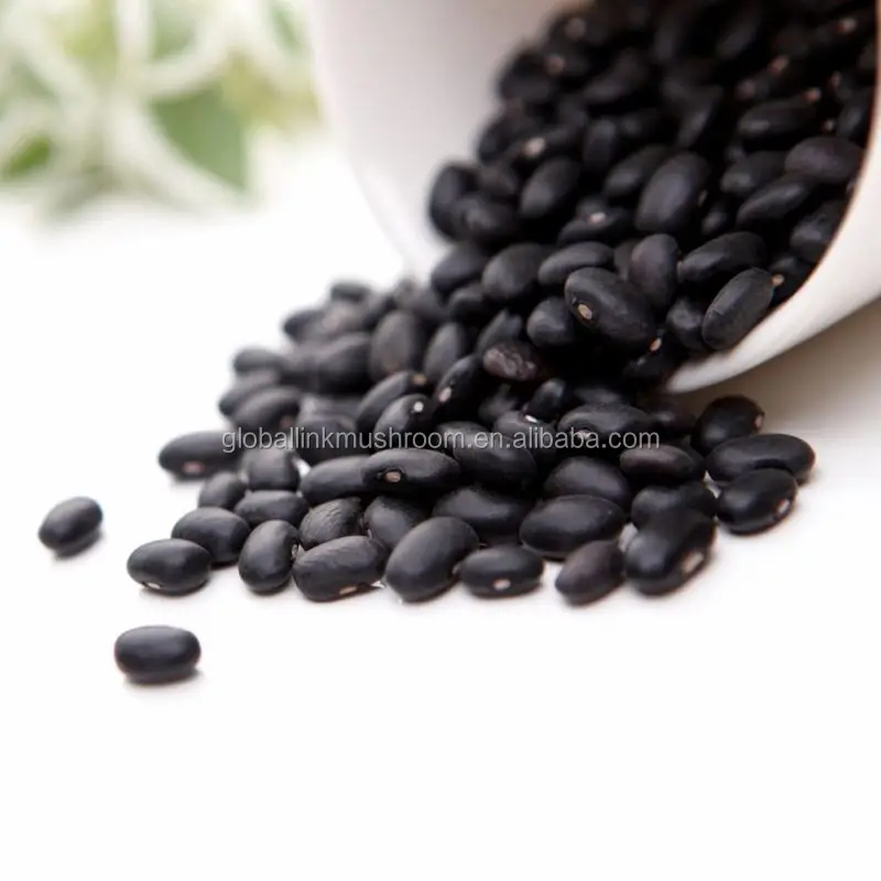 Black Beans Dried Kidney Beans Pulses