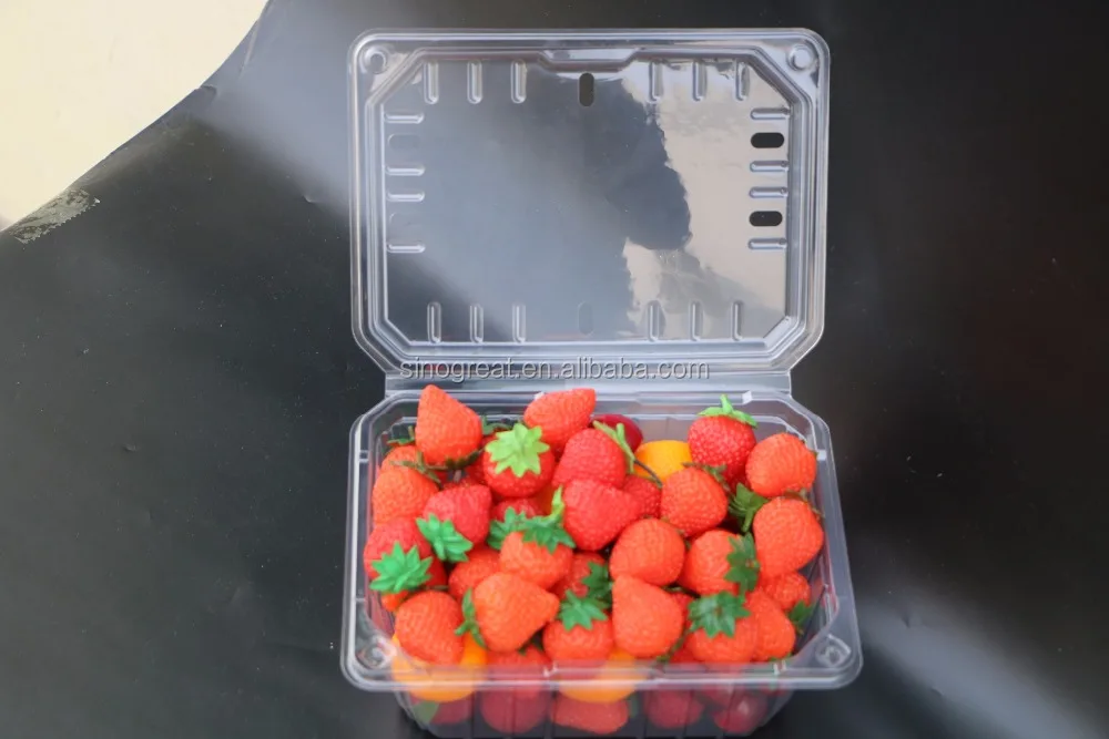 GLT-84B6 plastic tomato fruit clamshell container,plastic fruit tray for strawberry