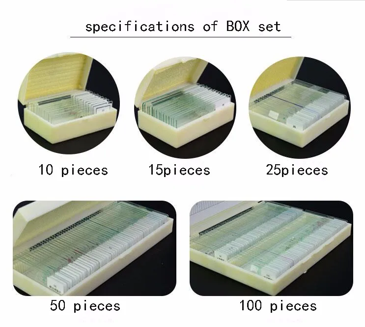 medical education used prepared plant cell Microscope biological teaching slides