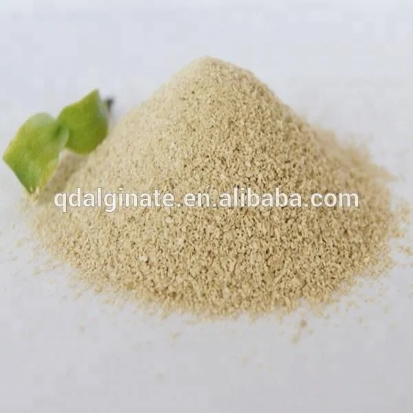 printing thickener sodium alginate GUM