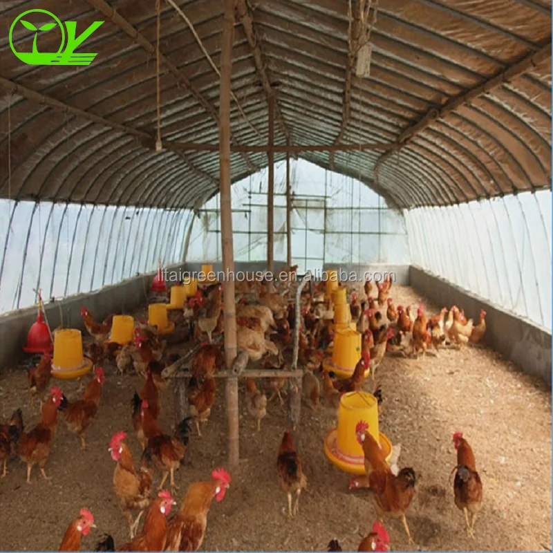 Poultry Farm Design Greenhouse single-span greenhouse