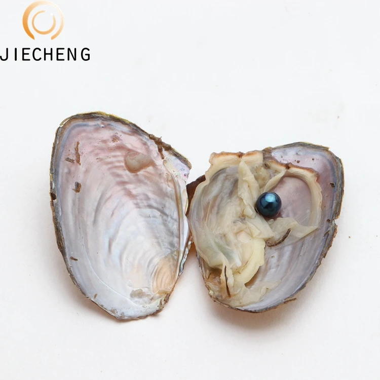 2018 оптовая продажа устричный жемчуг 7-8 мм Пресноводный Жемчуг