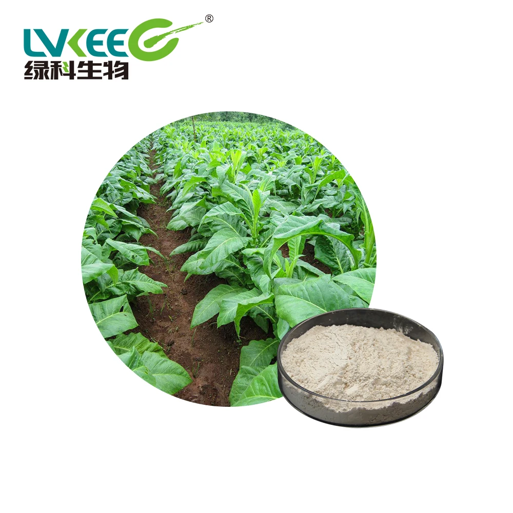 Soil Fertilizer/Planting/Freshwater/Agricultural cultivation Probiotics Powder Bacillus Subtilis100BL-500BL from China Lvkee