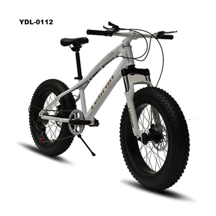 Wholesale 20 Inch Fat Tire Bike 24 Speed Beach Snow Bicycle Double Disk Brake Mountain Bikes