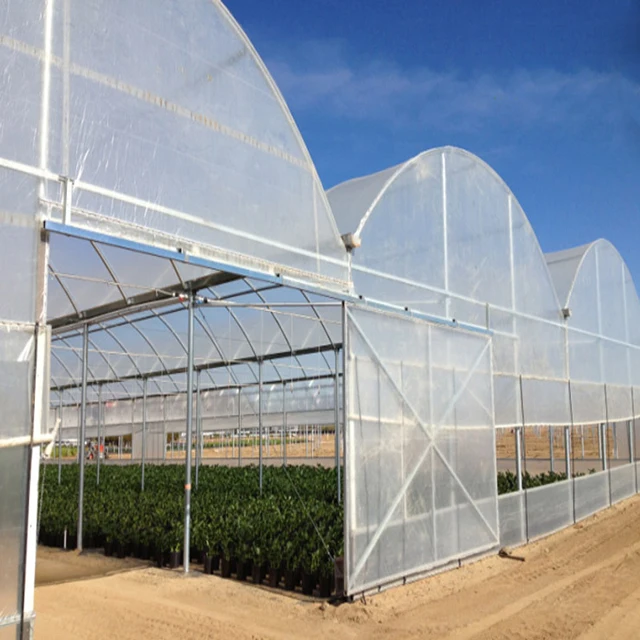 Agriculture plastic large multi span greenhouse for sale