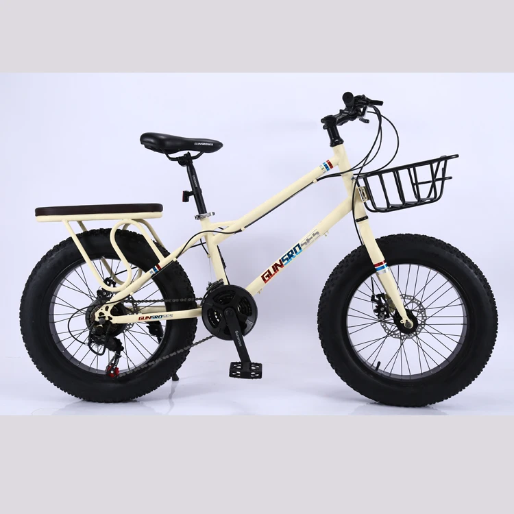 20Inch Bicycle21Speed High Carbon Steel Mountain Bike Dual Disc Brake Bikes