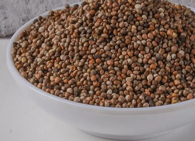 Su zi 100% natural and pure seeds Natural dried Fructus Perillae semen