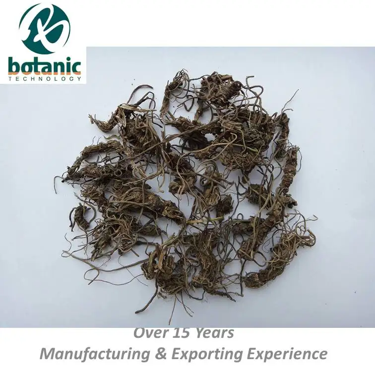 
Valerian root Radix et rhizoma valerianae XIE CAO 