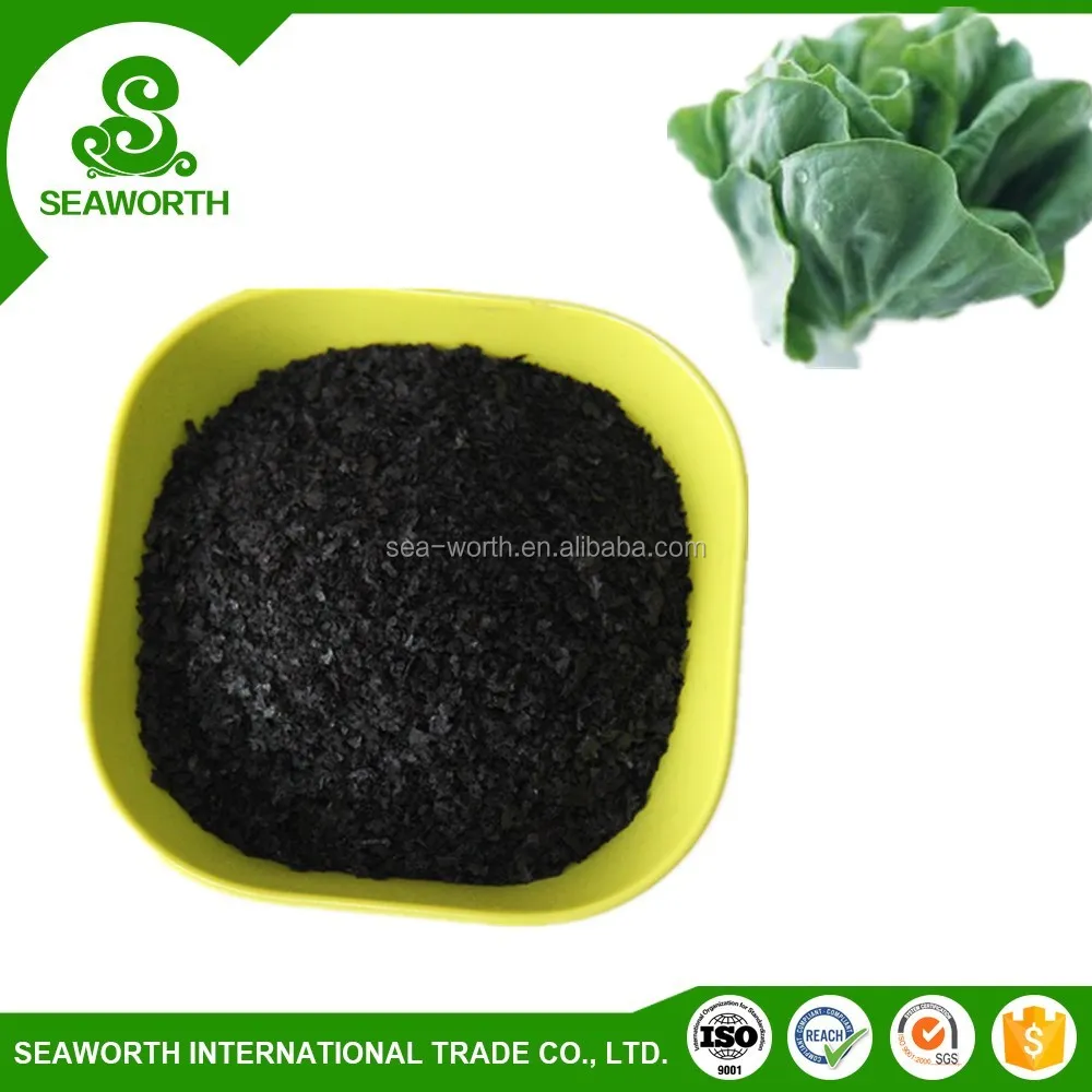Wholesale dried seaweed for fruit