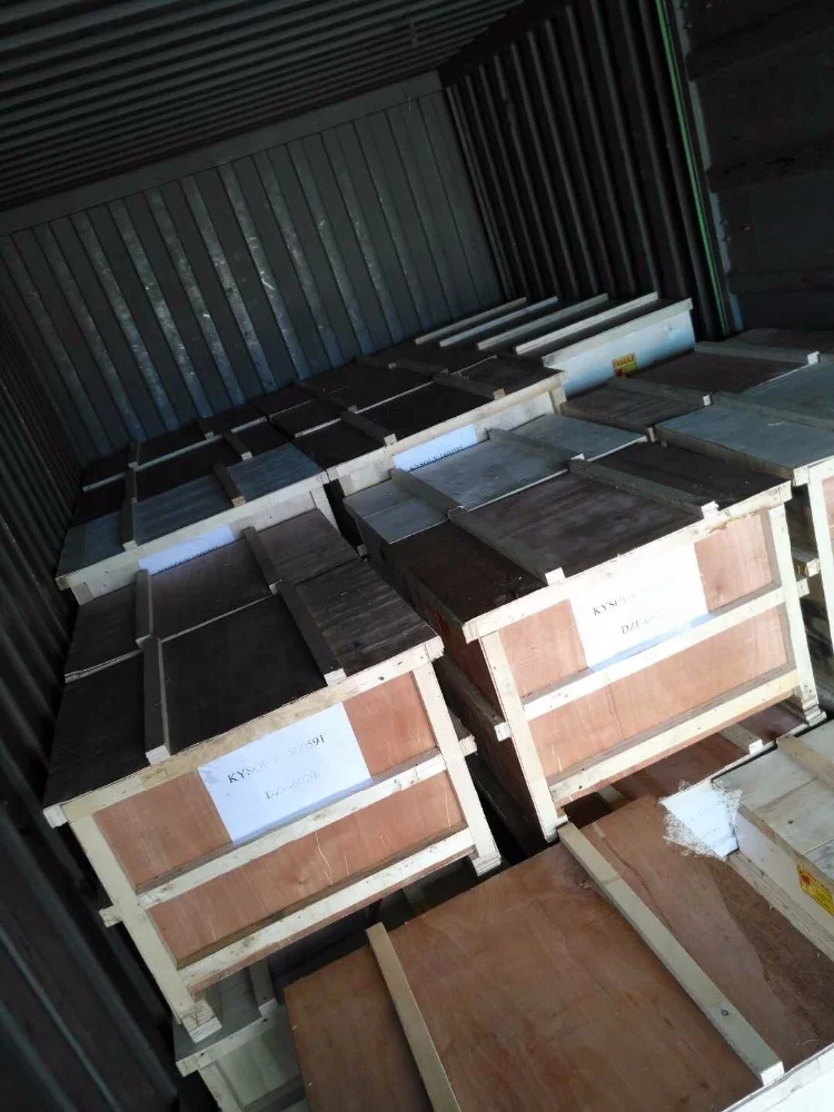 DZF-6050 1.9CuFt vacuum drying oven