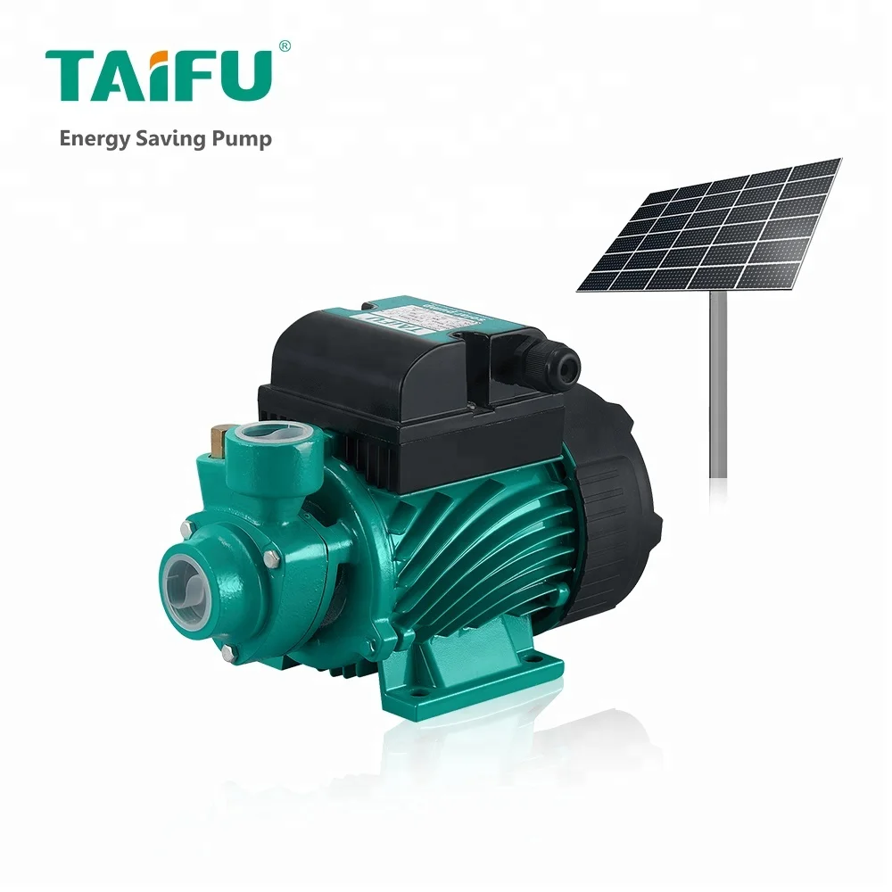 QBB50 2015 TAIFU new electric mini copper wire 220W water pump 100gph