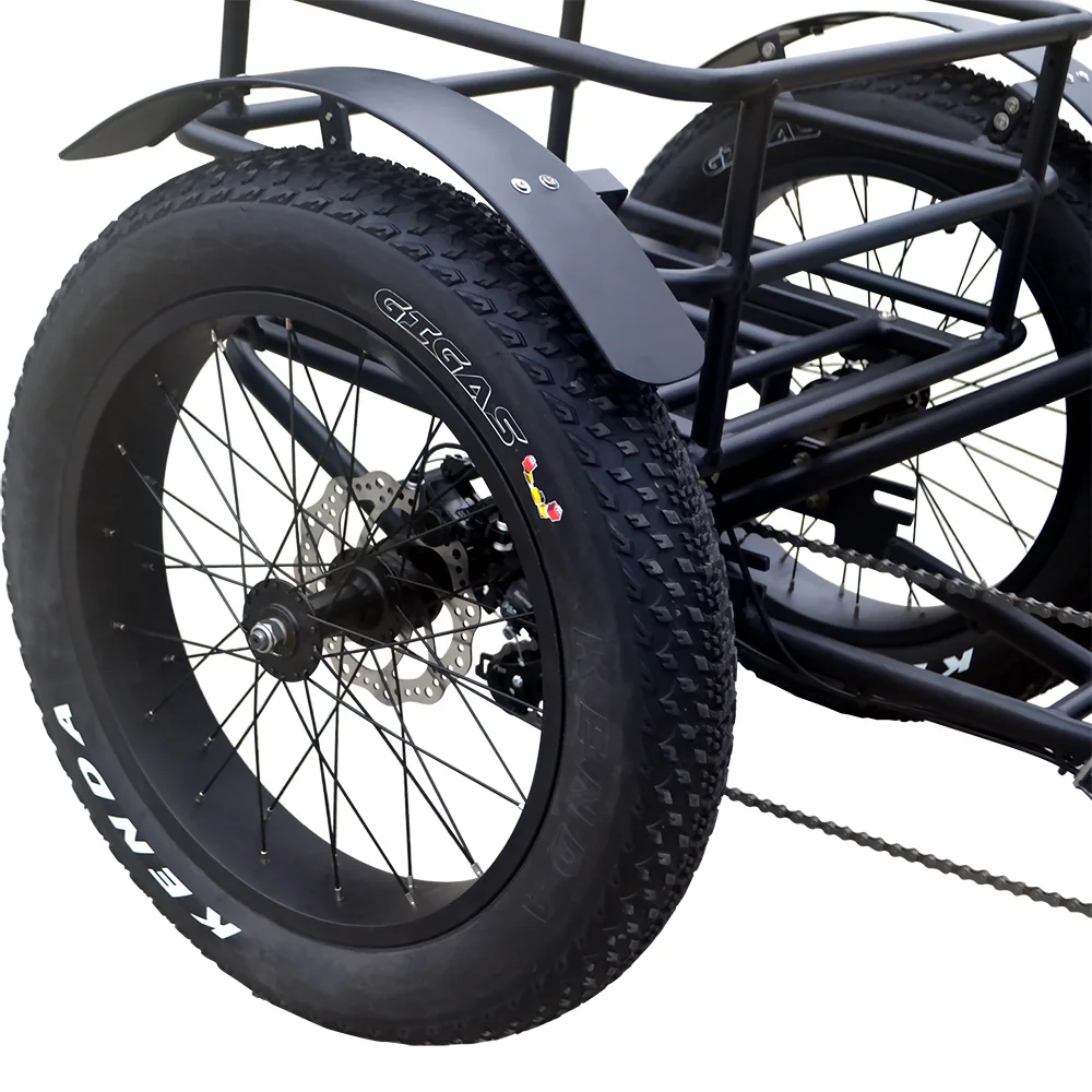 2019 New arrival 48V 750W long range fat tire pedal assist electric tricycle for hunting