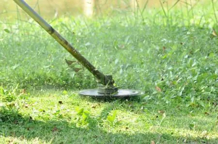 Lancher 10 inch Circular Saw Blade Multi-Use Carbide Brush Cutter Blade