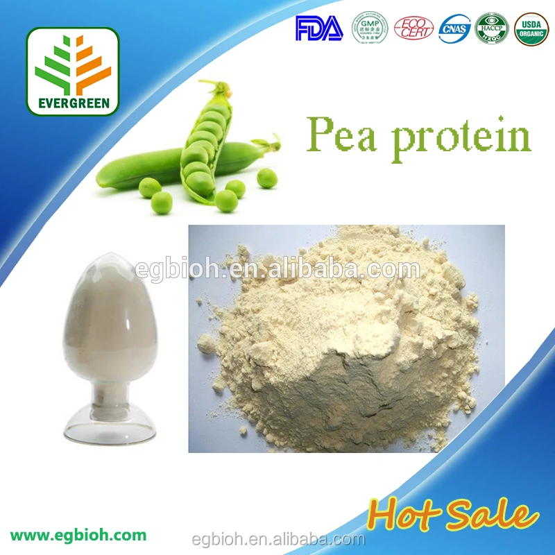 Private Label Vegan Protein Powder Organic Pea Protein Isolate Powder