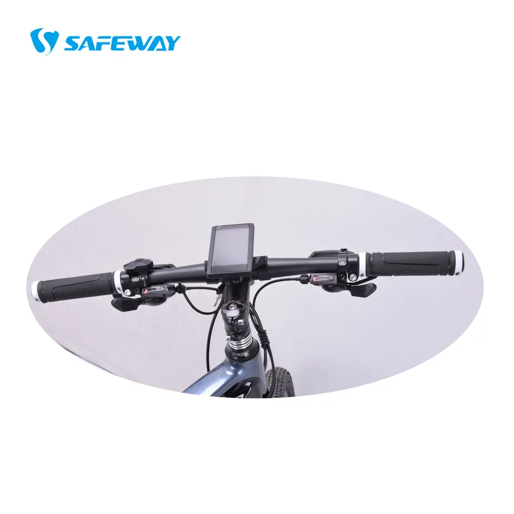 new model electric bike 1000w motor electric mountain bikes with 48V20AH electric bike High Powerful 48V Lithium Battery