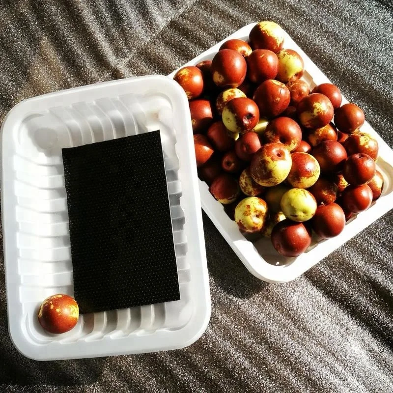 Vacuum Forming PP Plastic Fresh Vegetable Packaging Disposable foam supermarket frozen meat food trays packing