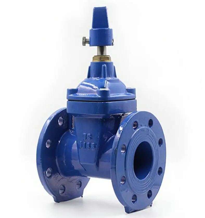 Vatac API600 Cast & Forged Gate Valve Flanged Connection
