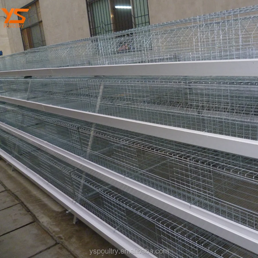 
Design Complete Poultry Chicken Farm Cage for Broiler and Breeder 
