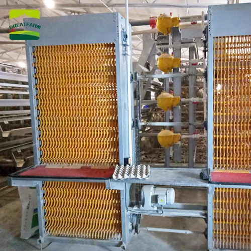 Poultry egg collection system Egg Collecting System egg collecting automation poultry farming equipment