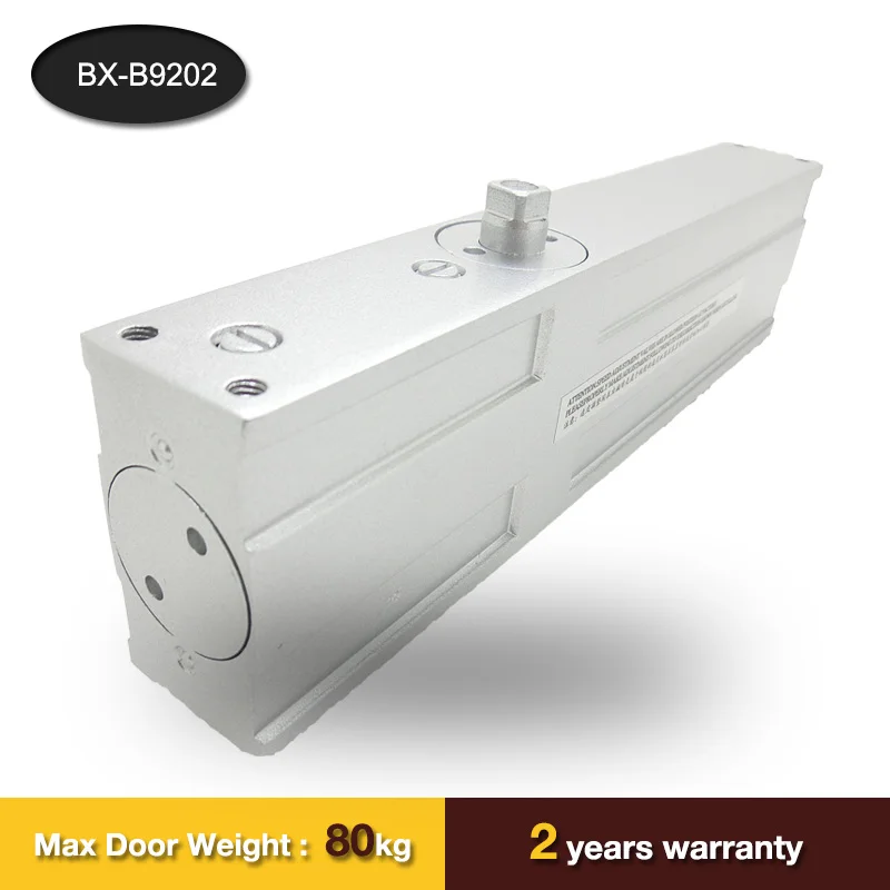 High Quality Aluminium Alloy Heavy Duty Concealed Door Closer /Hidden Door Closer