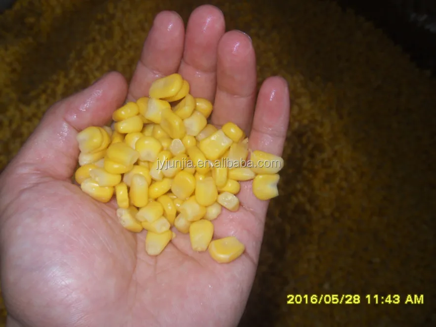sweet corn 340g/250g made in Chinese Factory
