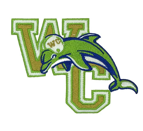 
Graduated Color 2018 Classic Pilot Wings Self Adhesive Stick On Embroidered Badge For Suitcase Customized New Design Patches 