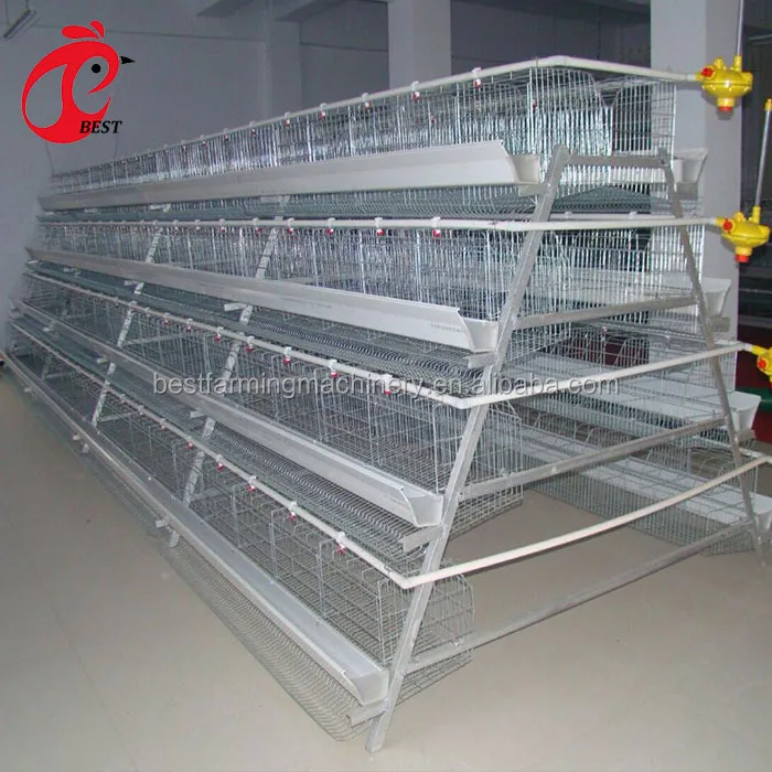 Brand new manufactures bird cages galvanization hot galvanized chicken cage for wholesales
