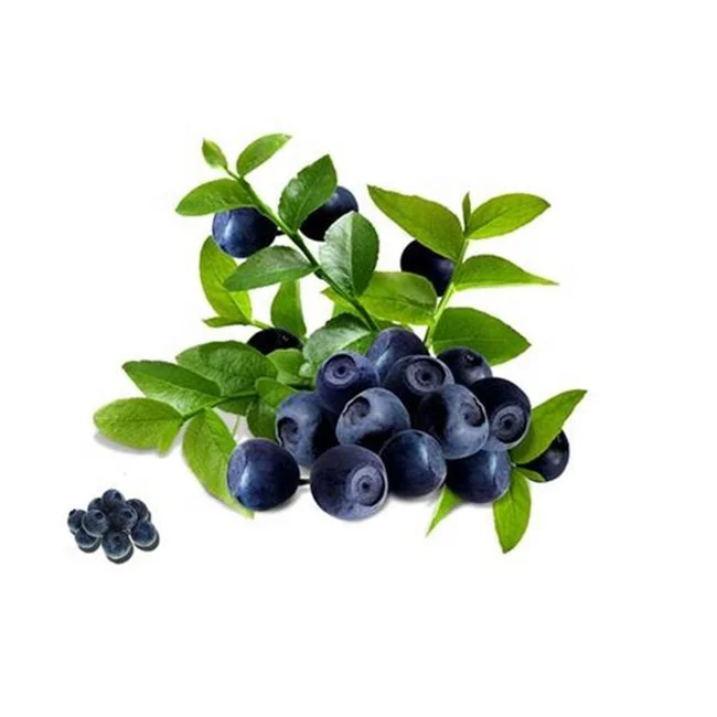 
Wholesale Best Brazil Quality Freeze Dry Acai Berry Powder 
