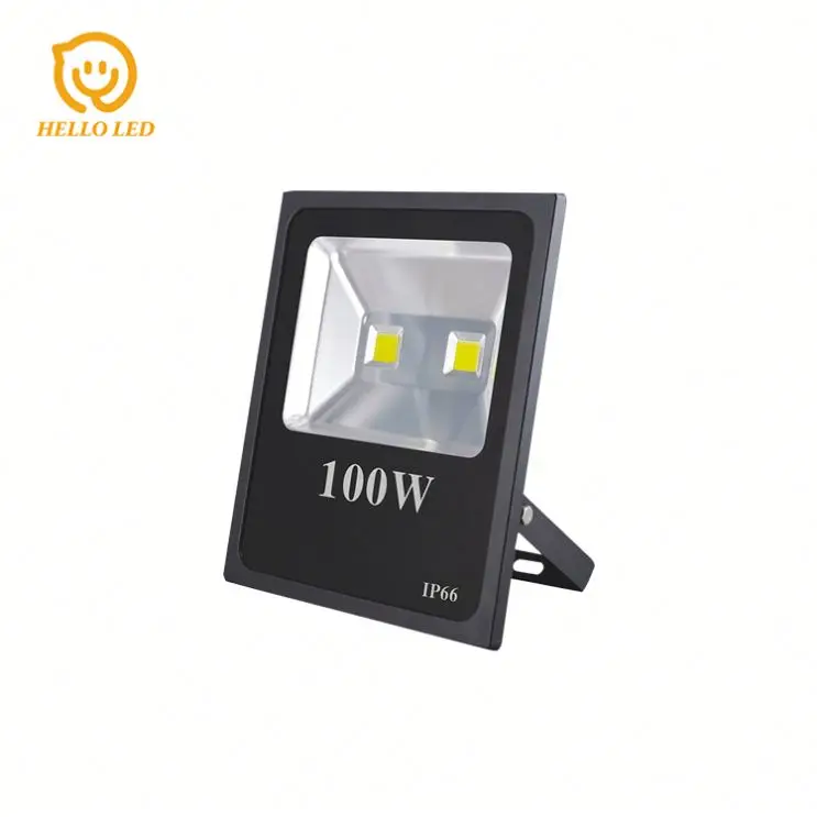 Factory direct price Cost-effective IP65 outdoor 100 w COB led floodlight spotlight