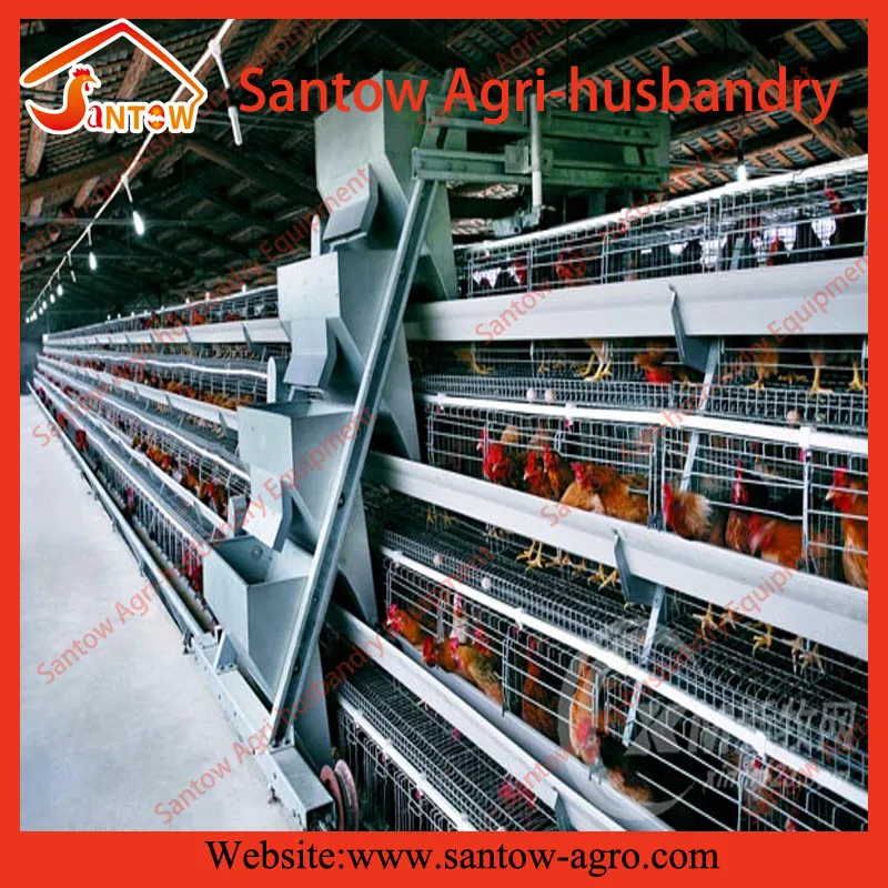 Automatic chicken cages hot galvanized poultry cage cheap price breeder cages birds for layer farm design