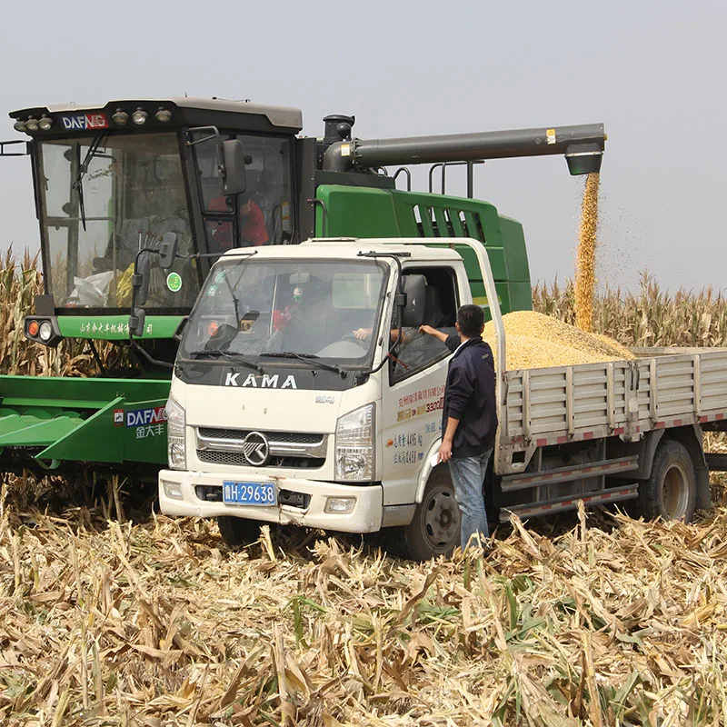 
Manufacturer Self Propelled Corn Harvesting Can Separate Grain from Cob Machine Corn Harvester Combine Harvester Gear Drive 