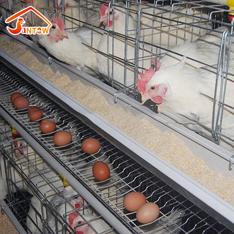 Layer Cage Assembling Tools Layer Chicken Cage For Live Chicken large scale chicken farms for bv 380 of germany